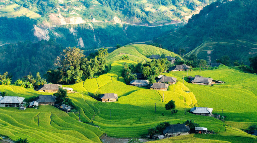 The rice terrace down there in the sunshine in the mountainous district - Hoang Su Phi, Ha Giang province, Vietnam