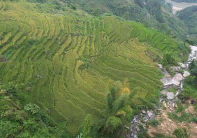 Xin Man