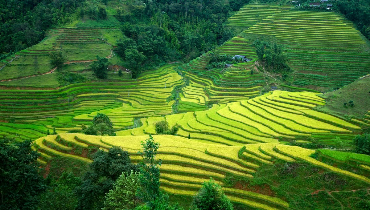 Le déclin des orfèvres aux mains d’argent à Hà Giang