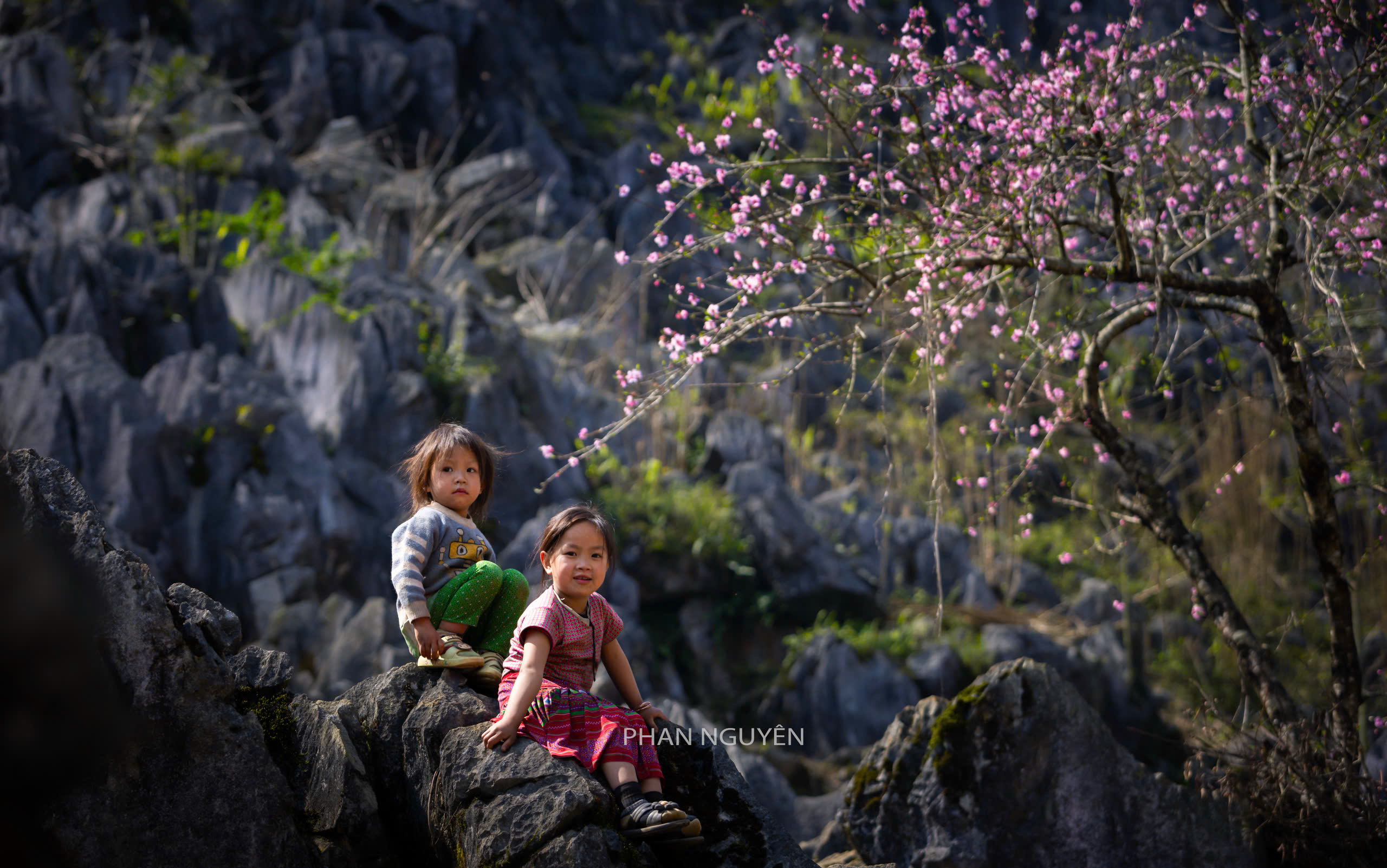 Des montagnes jumelles aux sentiers du ciel Découverte des hauts plateaux de Ha GiangDes montagnes jumelles aux sentiers du ciel Découverte des hauts plateaux de Ha Giang