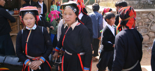 banner-image 